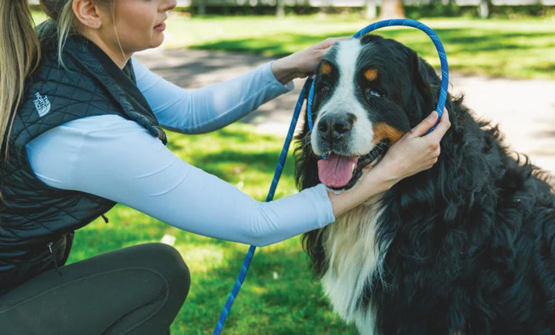 Ruffwear Just-A-Cinch Dog Lead-Assorted Colours