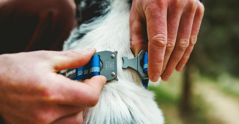 Ruffwear Top Rope Metal Buckle Dog Collar-Assorted Colours