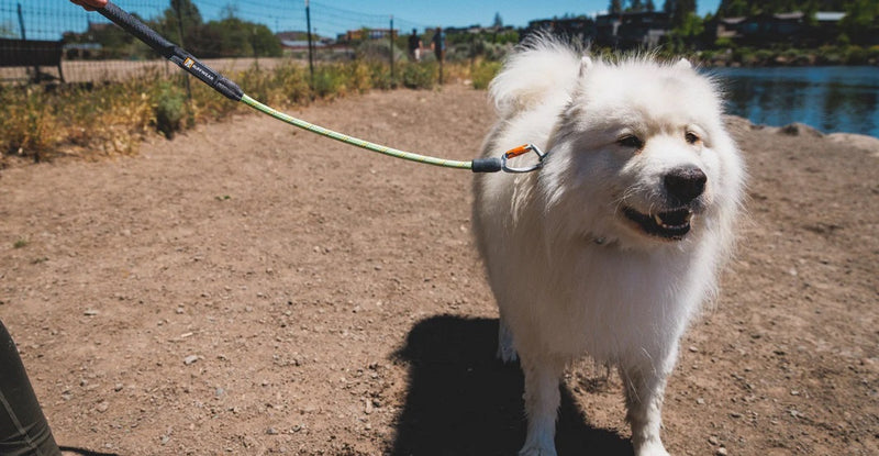 Ruffwear Knot-a-Long Short Rope Dog Lead-Assorted Colours