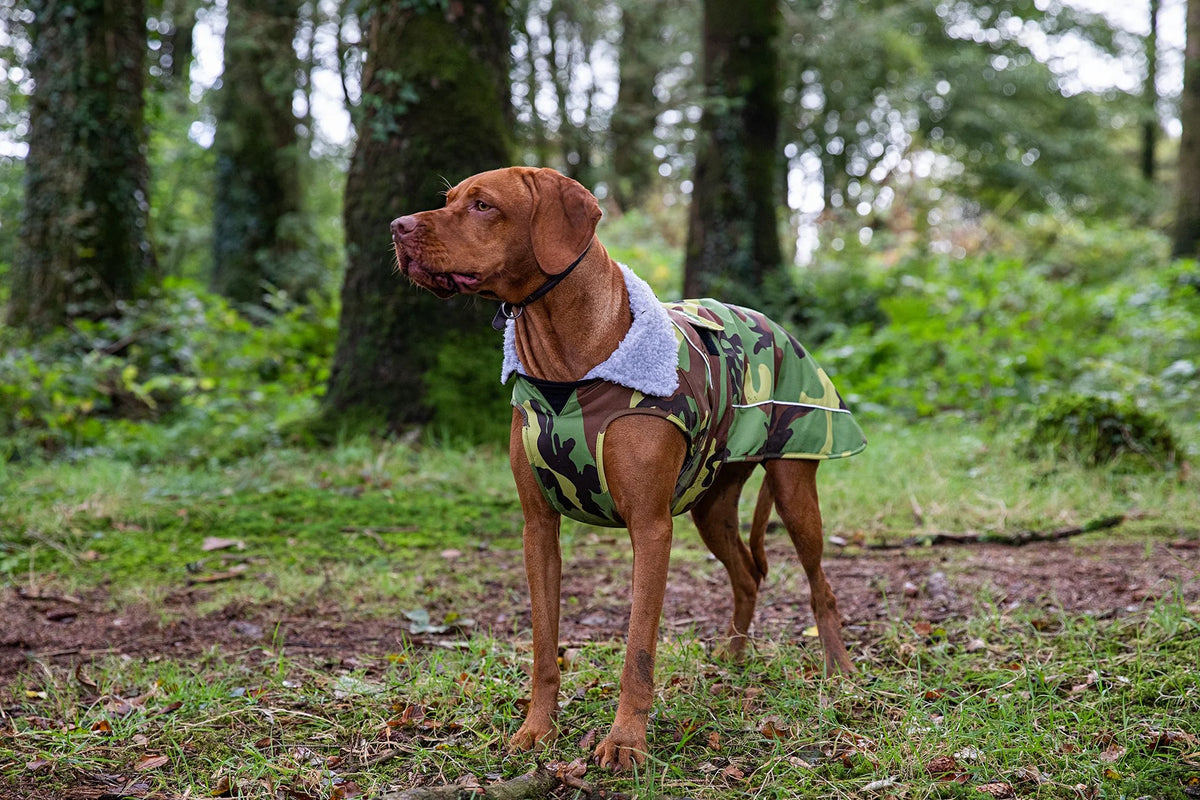 Berghaus dog coat online