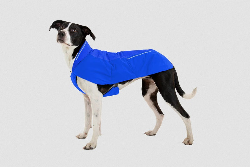 Ruffwear Vert Dog Jacket-Assorted Colours