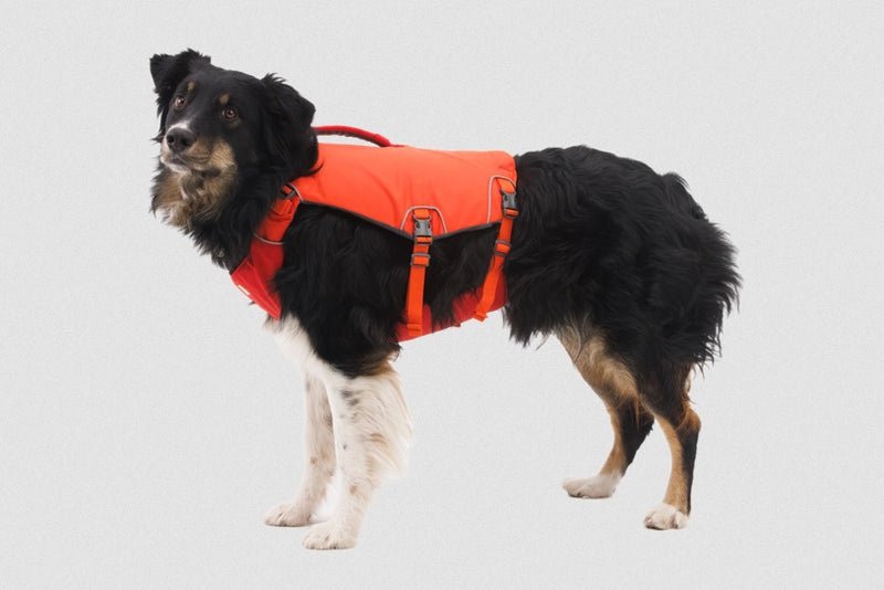 Ruffwear Confluence Dog Life Jacket-Assorted Colours