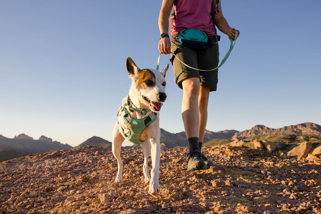 Ruffwear Swamp Cooler Harness Sage Green